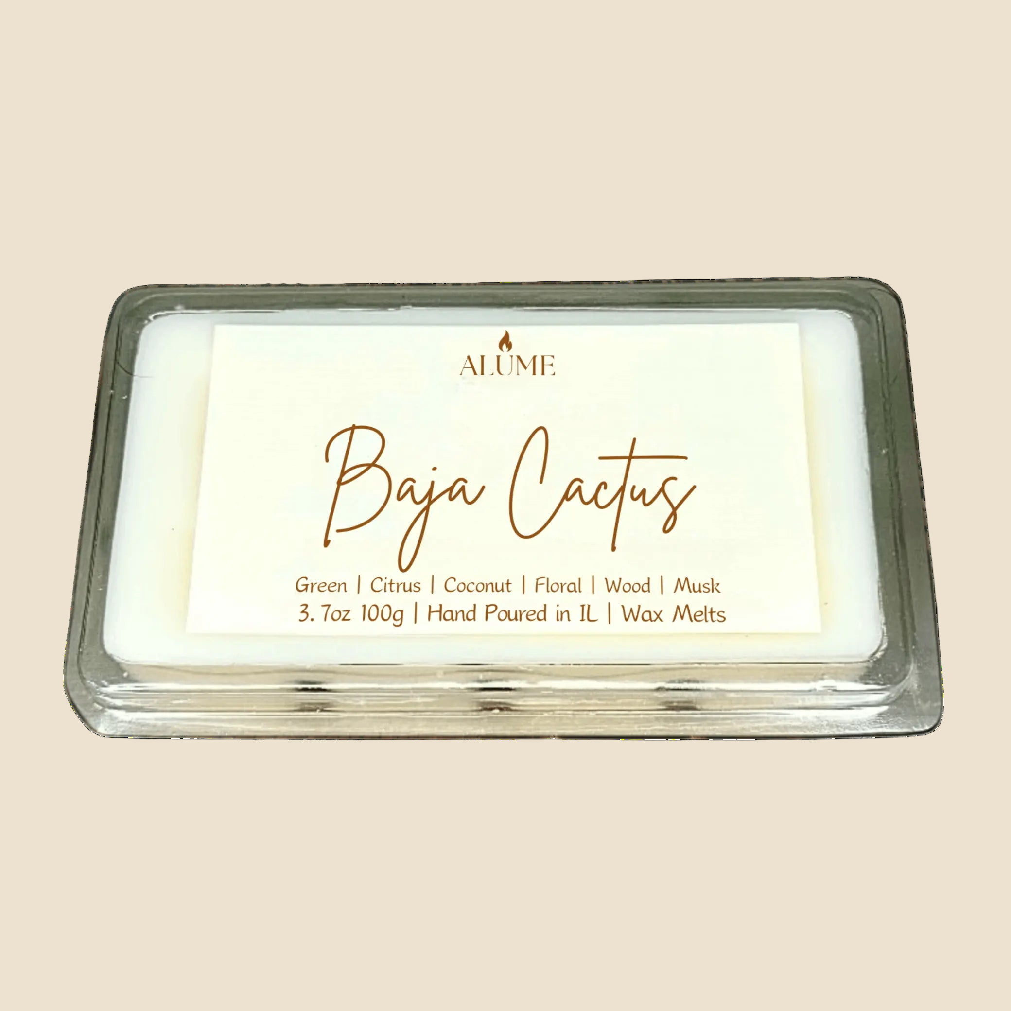 Baja Cactus | 3.7 oz Wax Melt Alume