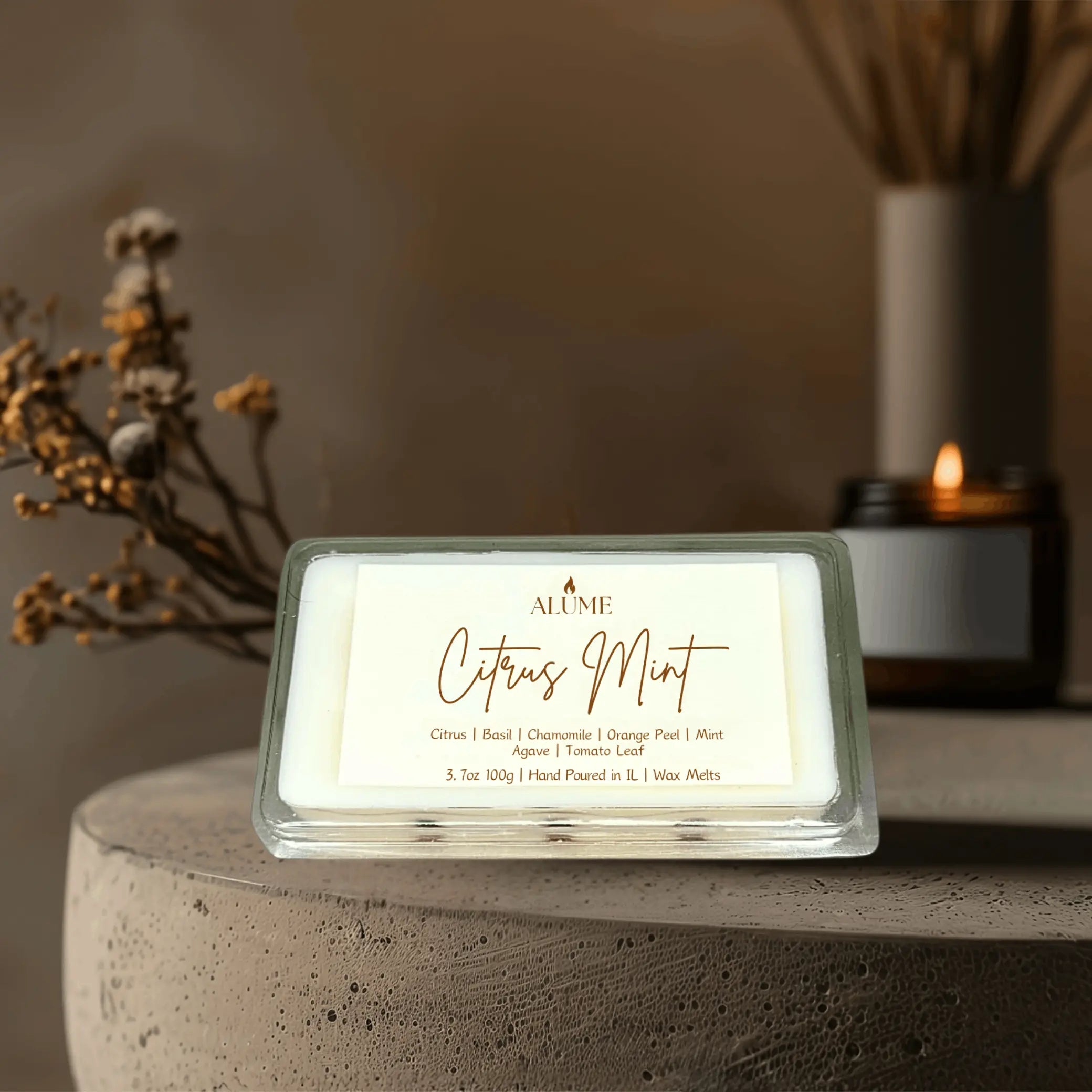 Citrus Mint | 3.7 oz Wax Melt Alume