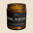 Load image into Gallery viewer, Dark Waters | 7.4 oz Candle