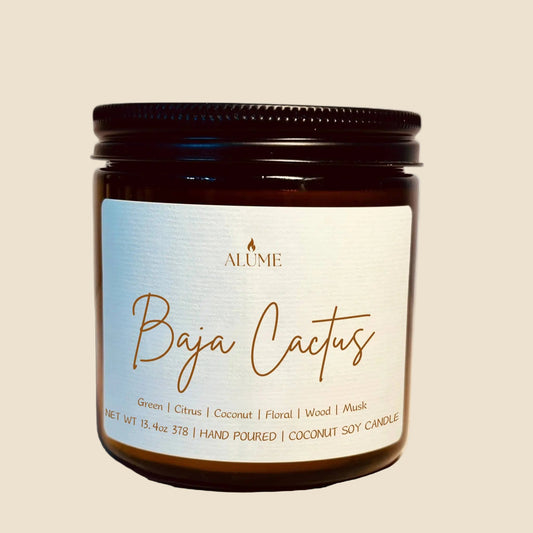 Baja Cactus | 13.4 oz Candle Alume
