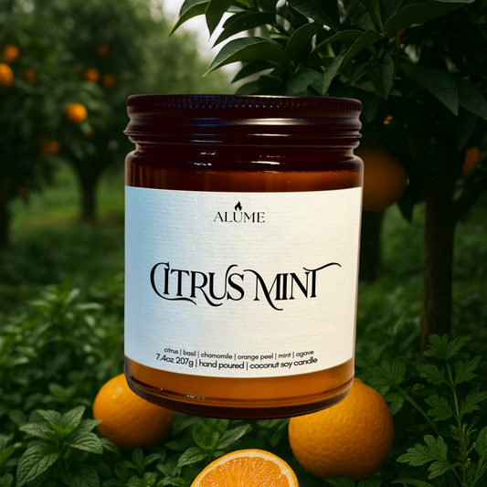 Citrus Mint | 7.4 oz Candle Alume