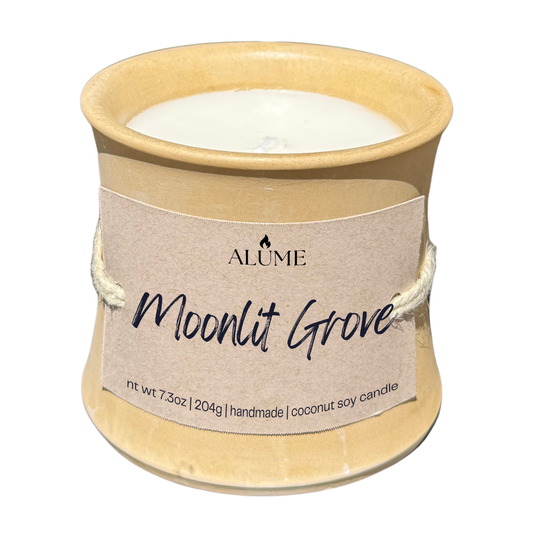 Moonlit Grove