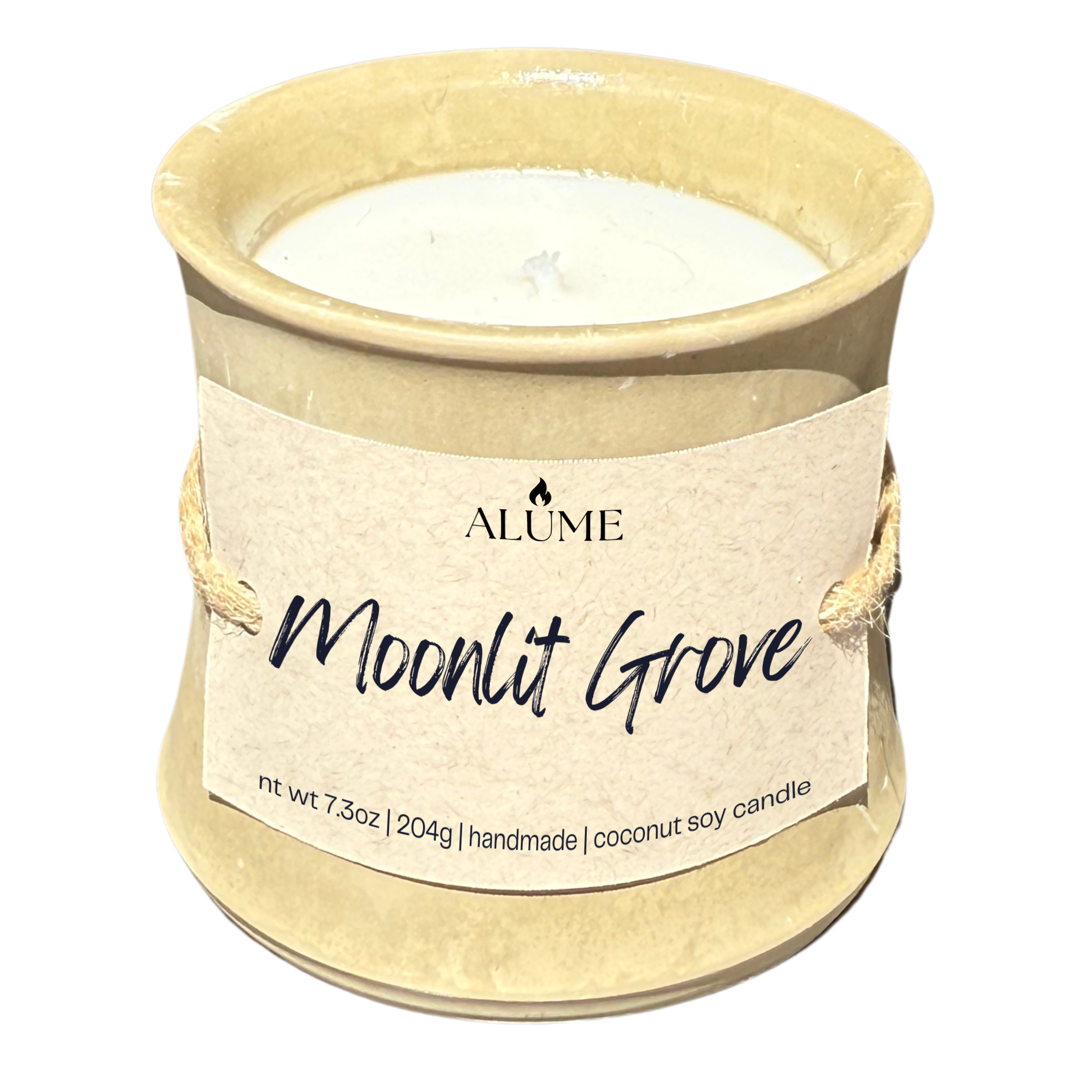 Moonlit Grove