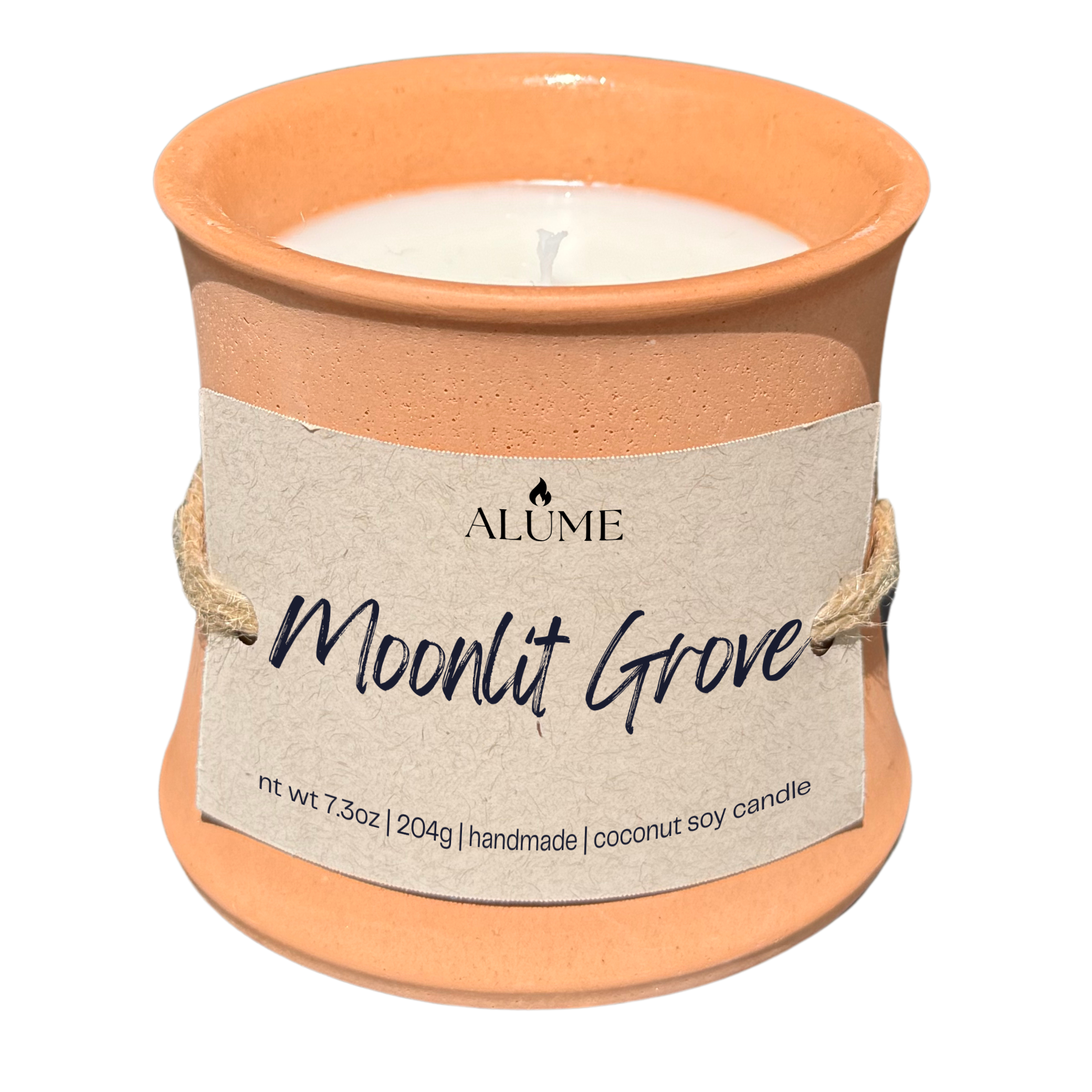 Moonlit Grove
