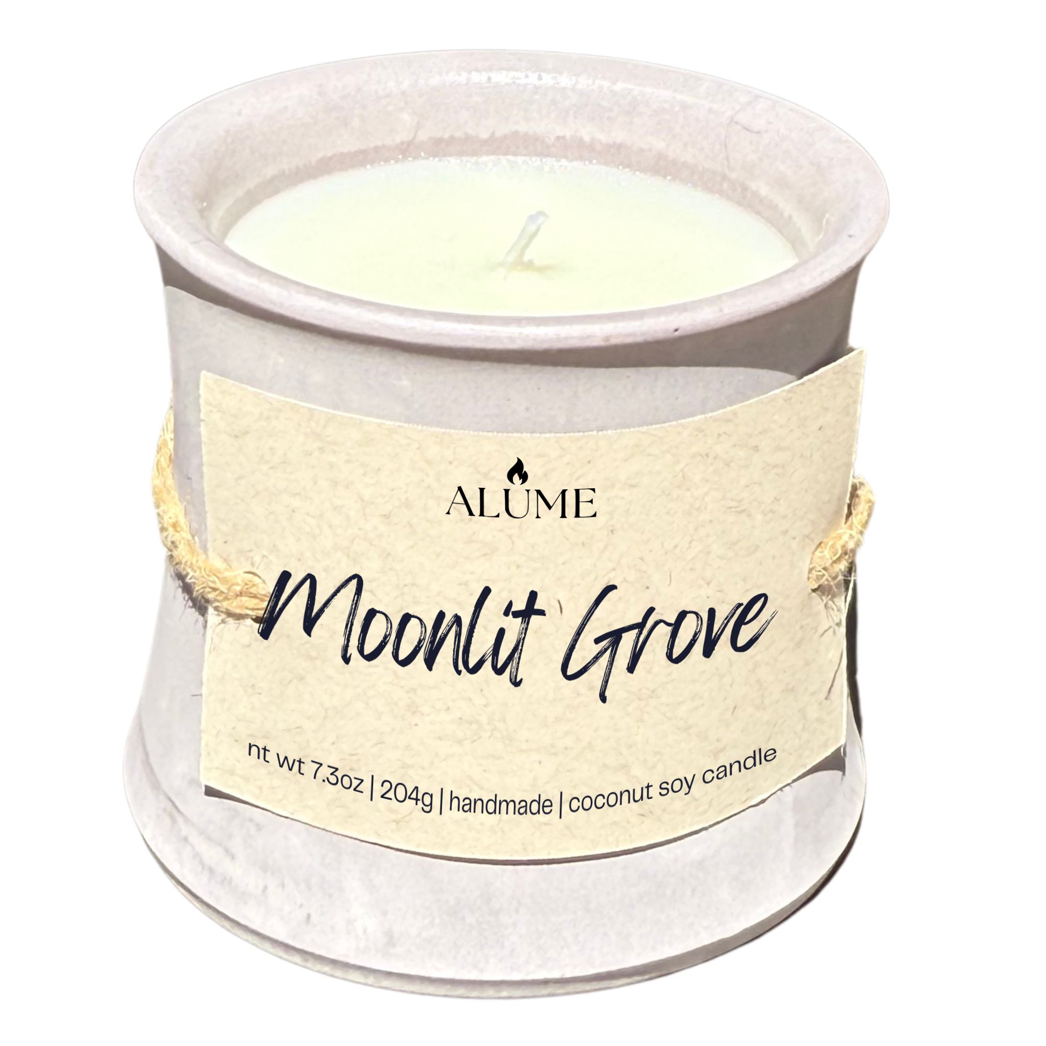 Moonlit Grove